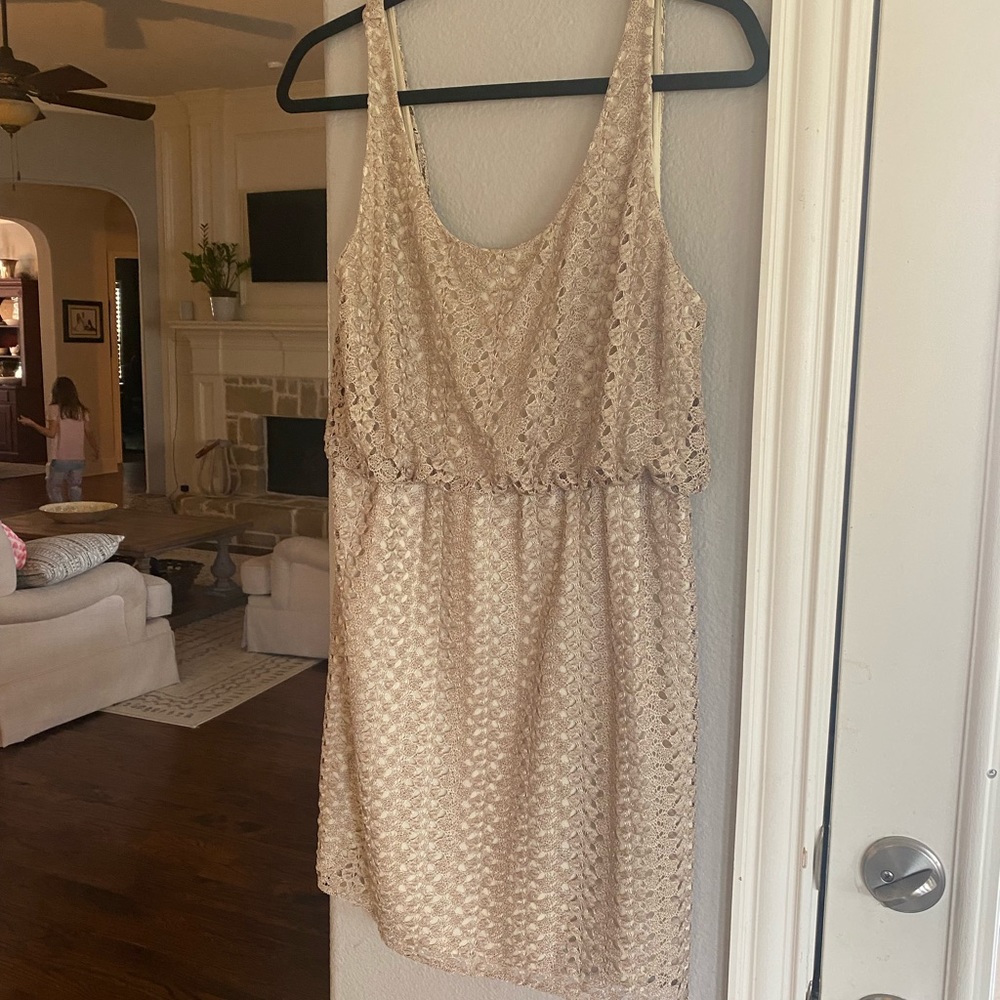 Alice + Olivia Champagne Lace Dress